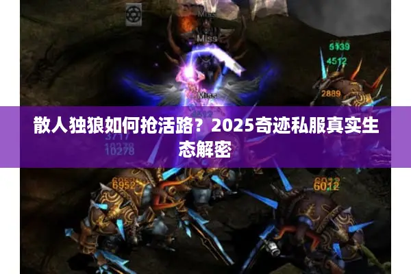 散人独狼如何抢活路？2025奇迹私服真实生态解密