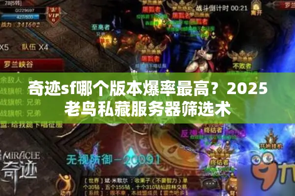 奇迹sf哪个版本爆率最高？2025老鸟私藏服务器筛选术