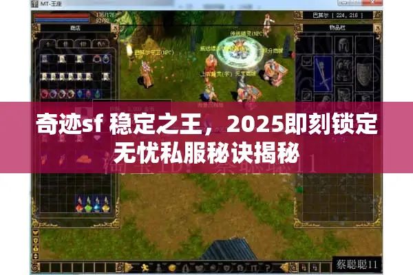 奇迹sf 稳定之王，2025即刻锁定无忧私服秘诀揭秘
