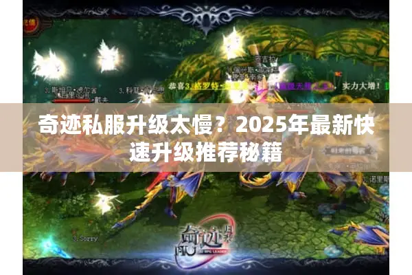 奇迹私服升级太慢？2025年最新快速升级推荐秘籍