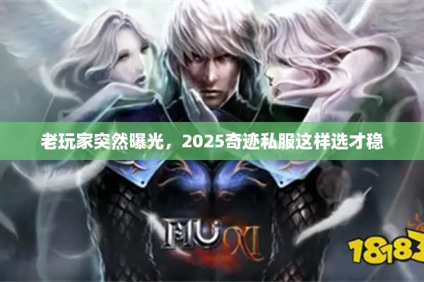 老玩家突然曝光，2025奇迹私服这样选才稳