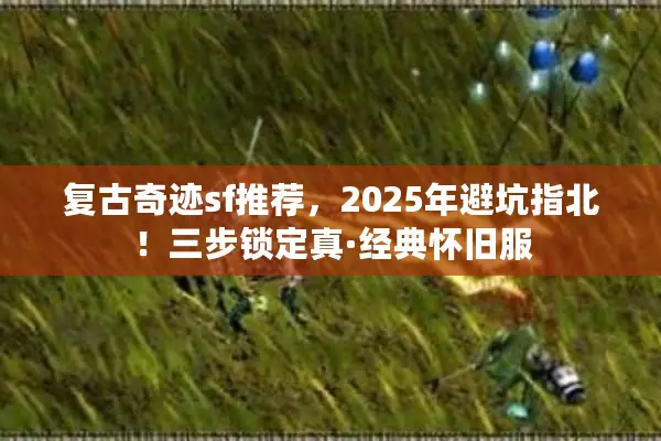 复古奇迹sf推荐，2025年避坑指北！三步锁定真·经典怀旧服