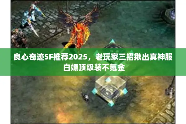 良心奇迹SF推荐2025，老玩家三招揪出真神服 白嫖顶级装不氪金