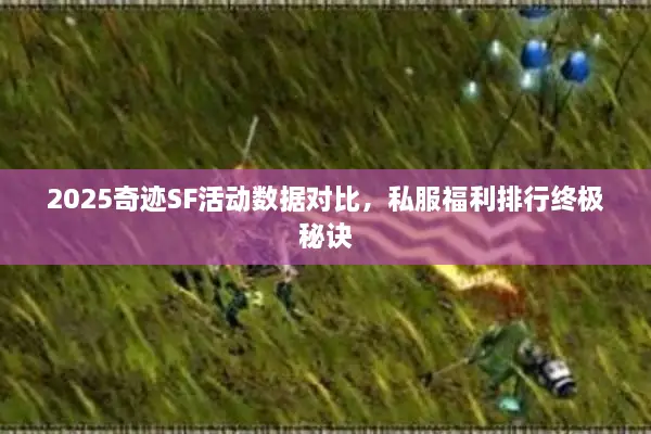 2025奇迹SF活动数据对比，私服福利排行终极秘诀