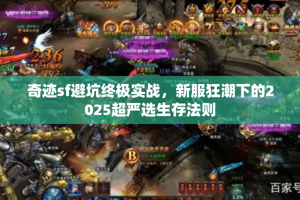 奇迹sf避坑终极实战，新服狂潮下的2025超严选生存法则