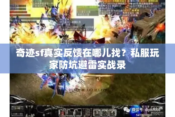 奇迹sf真实反馈在哪儿找？私服玩家防坑避雷实战录