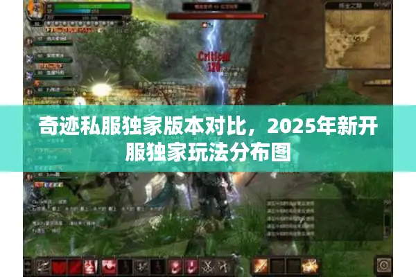 奇迹私服独家版本对比，2025年新开服独家玩法分布图