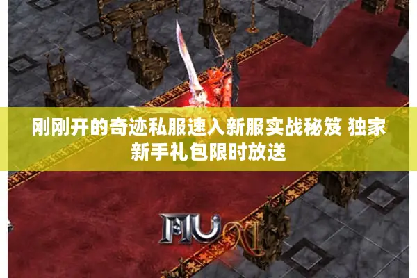 刚刚开的奇迹私服速入新服实战秘笈 独家新手礼包限时放送