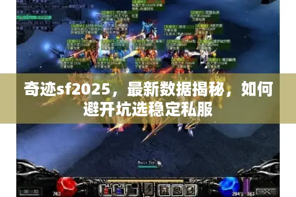 奇迹sf2025，最新数据揭秘，如何避开坑选稳定私服