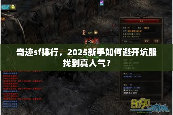 奇迹sf排行，2025新手如何避开坑服找到真人气？