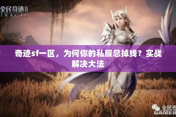奇迹sf一区，为何你的私服总掉线？实战解决大法