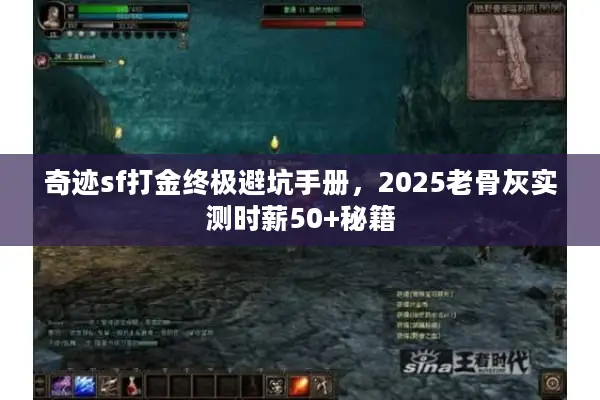 奇迹sf打金终极避坑手册，2025老骨灰实测时薪50+秘籍