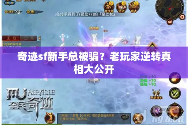 奇迹sf新手总被骗？老玩家逆转真相大公开