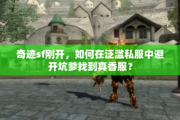 奇迹sf刚开，如何在泛滥私服中避开坑爹找到真香服？