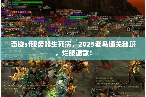 奇迹sf服务器生死簿，2025老鸟通关秘籍，烂服退散！