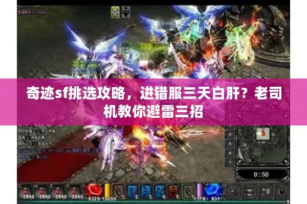 奇迹sf挑选攻略，进错服三天白肝？老司机教你避雷三招
