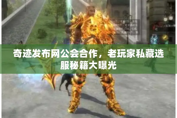 奇迹发布网公会合作，老玩家私藏选服秘籍大曝光