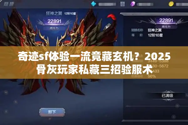 奇迹sf体验一流竟藏玄机？2025骨灰玩家私藏三招验服术