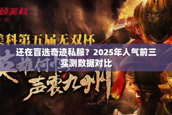 还在盲选奇迹私服?2025年人气前三实测数据对比 还在盲选奇迹私服?2025年人气前三实测数据对比