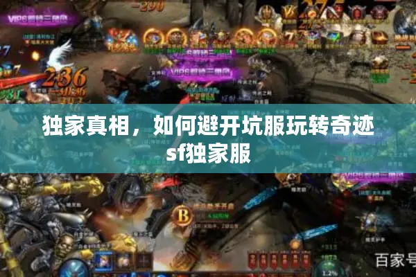 独家真相，如何避开坑服玩转奇迹sf独家服