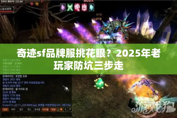 奇迹sf品牌服挑花眼？2025年老玩家防坑三步走