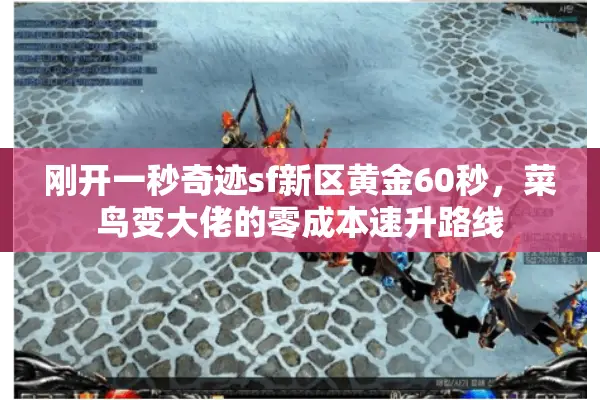 刚开一秒奇迹sf新区黄金60秒，菜鸟变大佬的零成本速升路线