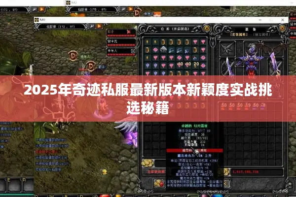 2025年奇迹私服最新版本新颖度实战挑选秘籍