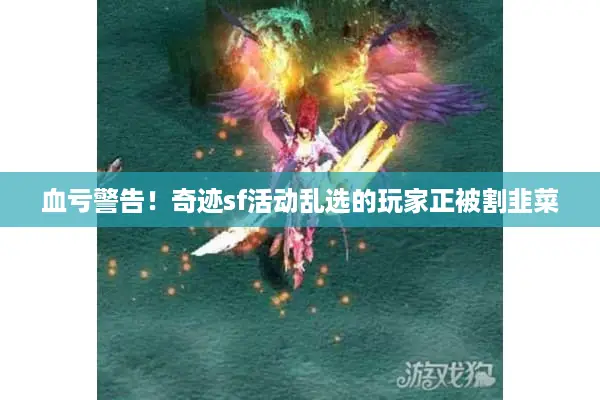 血亏警告！奇迹sf活动乱选的玩家正被割韭菜