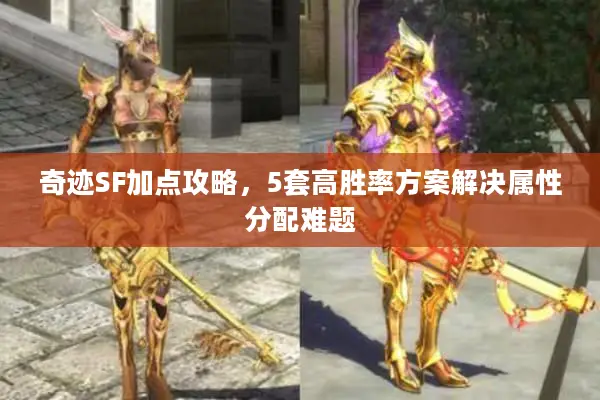 奇迹SF加点攻略，5套高胜率方案解决属性分配难题