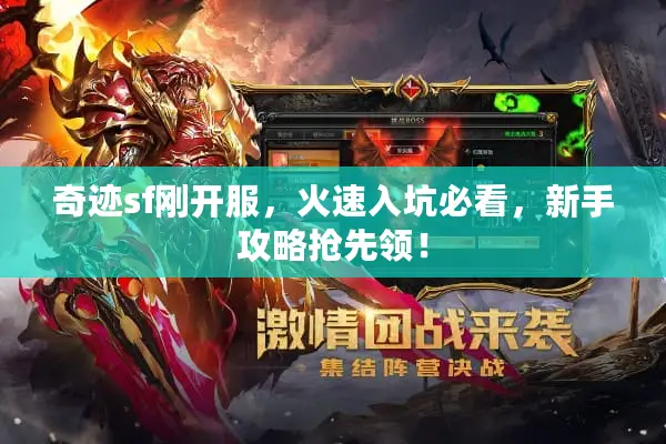 奇迹sf刚开服，火速入坑必看，新手攻略抢先领！