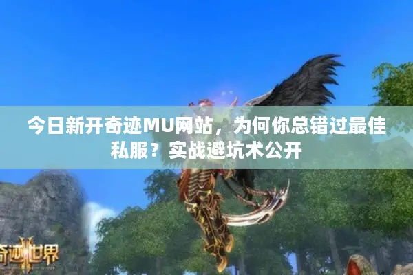 今日新开奇迹MU网站,为何你总错过最佳私服?实战避坑术公开 今日新开奇迹MU网站,为何你总错过最佳私服?实战避坑术公开