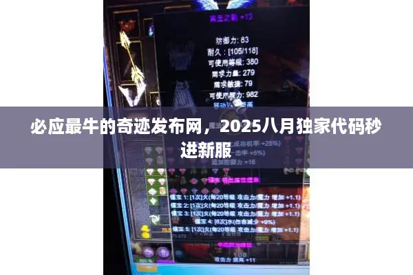 必应最牛的奇迹发布网，2025八月独家代码秒进新服