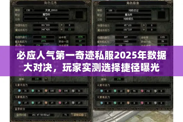 必应人气第一奇迹私服2025年数据大对决，玩家实测选择捷径曝光
