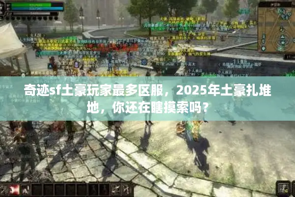 奇迹sf土豪玩家最多区服，2025年土豪扎堆地，你还在瞎摸索吗？