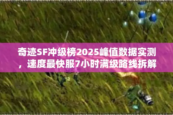 奇迹SF冲级榜2025峰值数据实测,速度最快服7小时满级路线拆解 奇迹SF冲级榜2025峰值数据实测,速度最快服7小时满级路线拆解