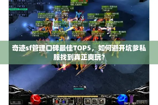 奇迹sf管理口碑最佳TOP5，如何避开坑爹私服找到真正爽玩？