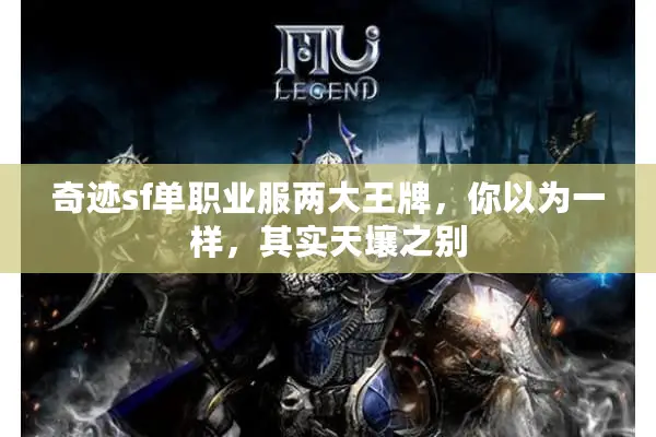 奇迹sf单职业服两大王牌，你以为一样，其实天壤之别
