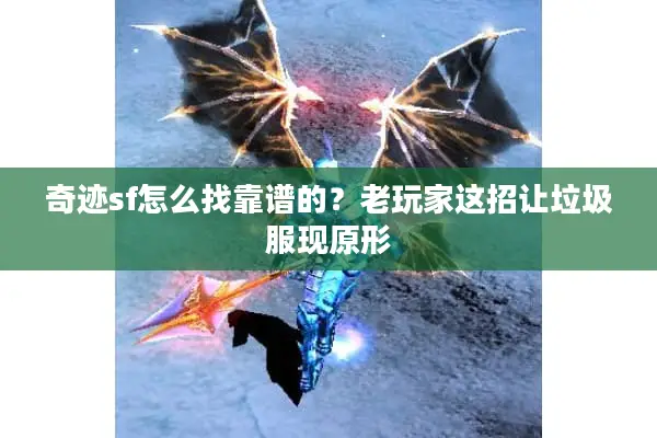 奇迹sf怎么找靠谱的？老玩家这招让垃圾服现原形