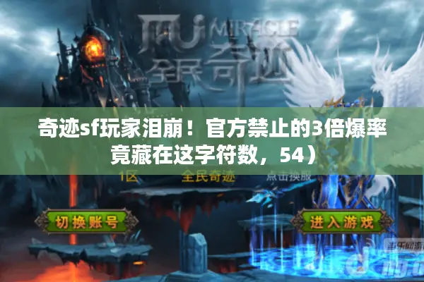 奇迹sf玩家泪崩！官方禁止的3倍爆率竟藏在这字符数，54）