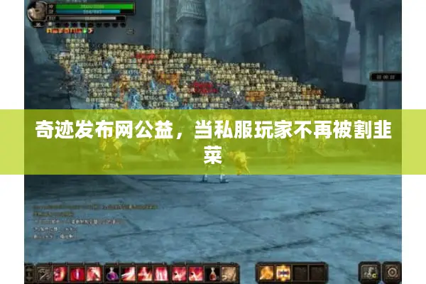 奇迹发布网公益，当私服玩家不再被割韭菜