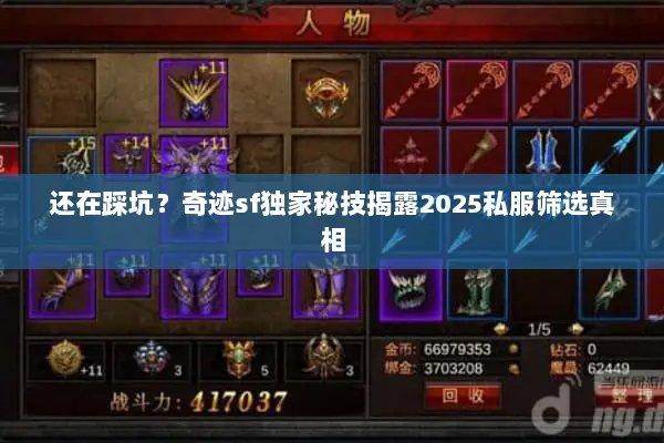 还在踩坑？奇迹sf独家秘技揭露2025私服筛选真相