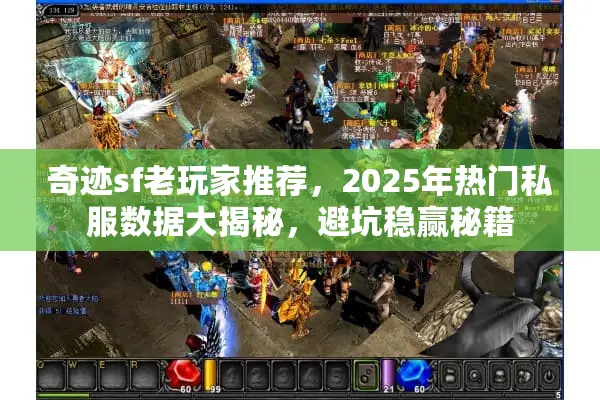 奇迹sf老玩家推荐，2025年热门私服数据大揭秘，避坑稳赢秘籍
