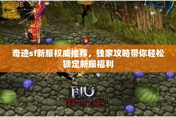 奇迹sf新服权威推荐，独家攻略带你轻松锁定新服福利
