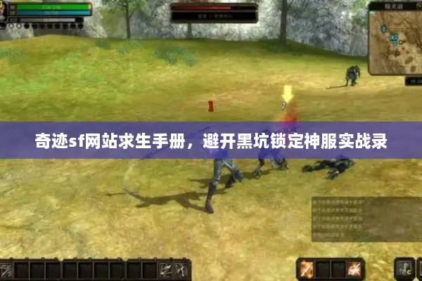 奇迹sf网站求生手册，避开黑坑锁定神服实战录