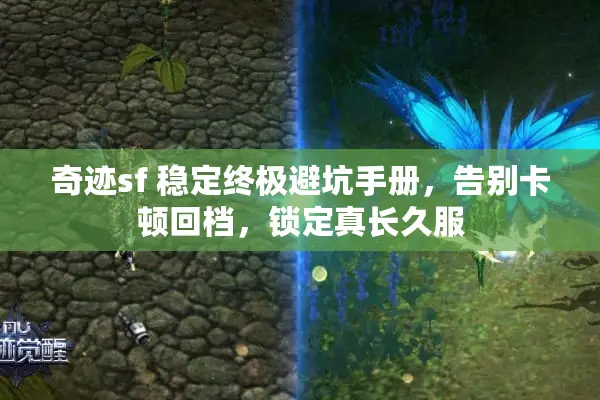 奇迹sf 稳定终极避坑手册，告别卡顿回档，锁定真长久服