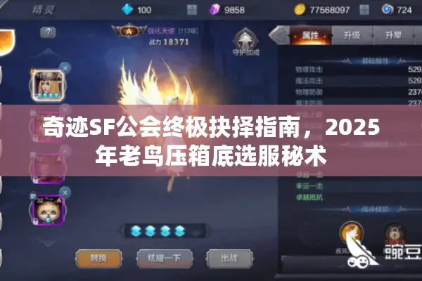 奇迹SF公会终极抉择指南，2025年老鸟压箱底选服秘术