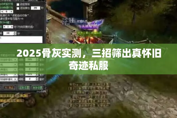 2025骨灰实测，三招筛出真怀旧奇迹私服