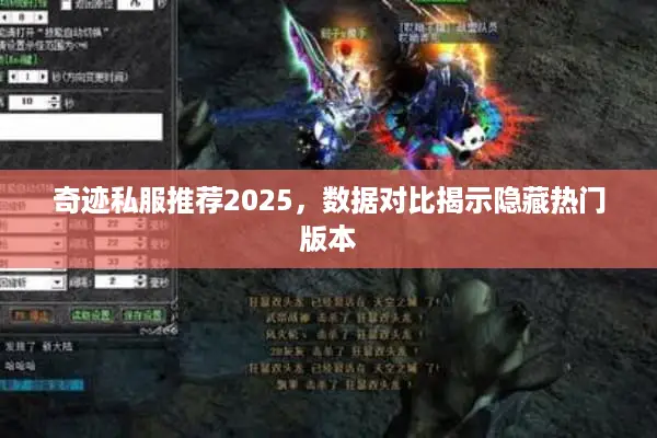 奇迹私服推荐2025，数据对比揭示隐藏热门版本