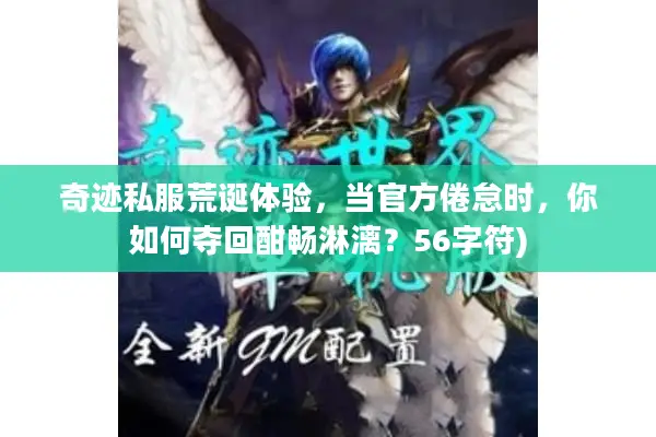 奇迹私服荒诞体验，当官方倦怠时，你如何夺回酣畅淋漓？56字符)