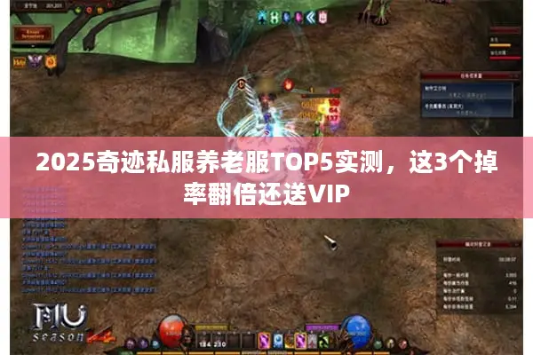 2025奇迹私服养老服TOP5实测，这3个掉率翻倍还送VIP